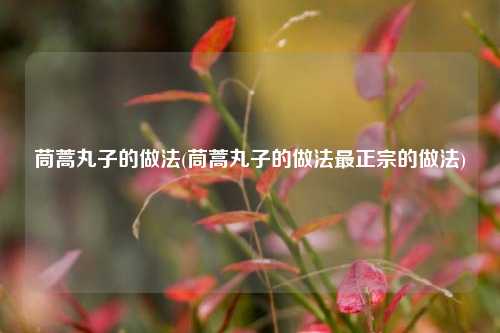 茼蒿丸子的做法(茼蒿丸子的做法最正宗的做法)