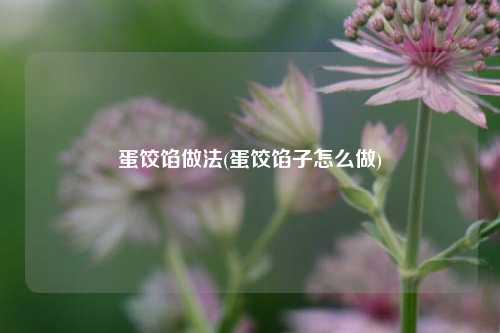 蛋饺馅做法(蛋饺馅子怎么做)
