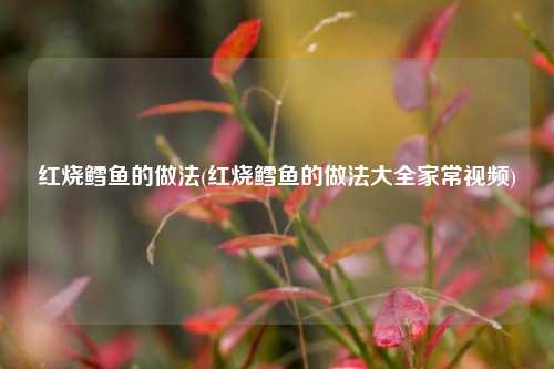 红烧鳕鱼的做法(红烧鳕鱼的做法大全家常视频)