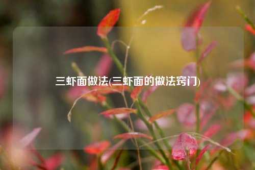 三虾面做法(三虾面的做法窍门)