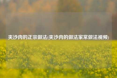 夹沙肉的正宗做法(夹沙肉的做法家常做法视频)