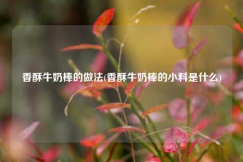 香酥牛奶棒的做法(香酥牛奶棒的小料是什么)