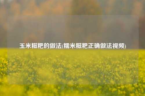 玉米糍粑的做法(糯米糍粑正确做法视频)