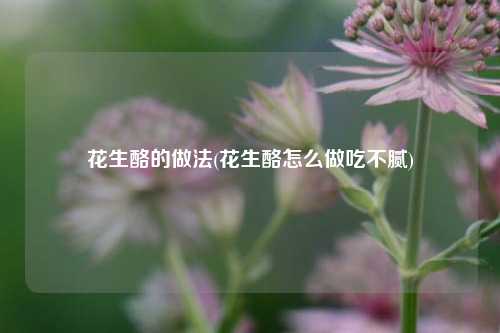 花生酪的做法(花生酪怎么做吃不腻)