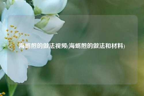 海蛎煎的做法视频(海蛎煎的做法和材料)